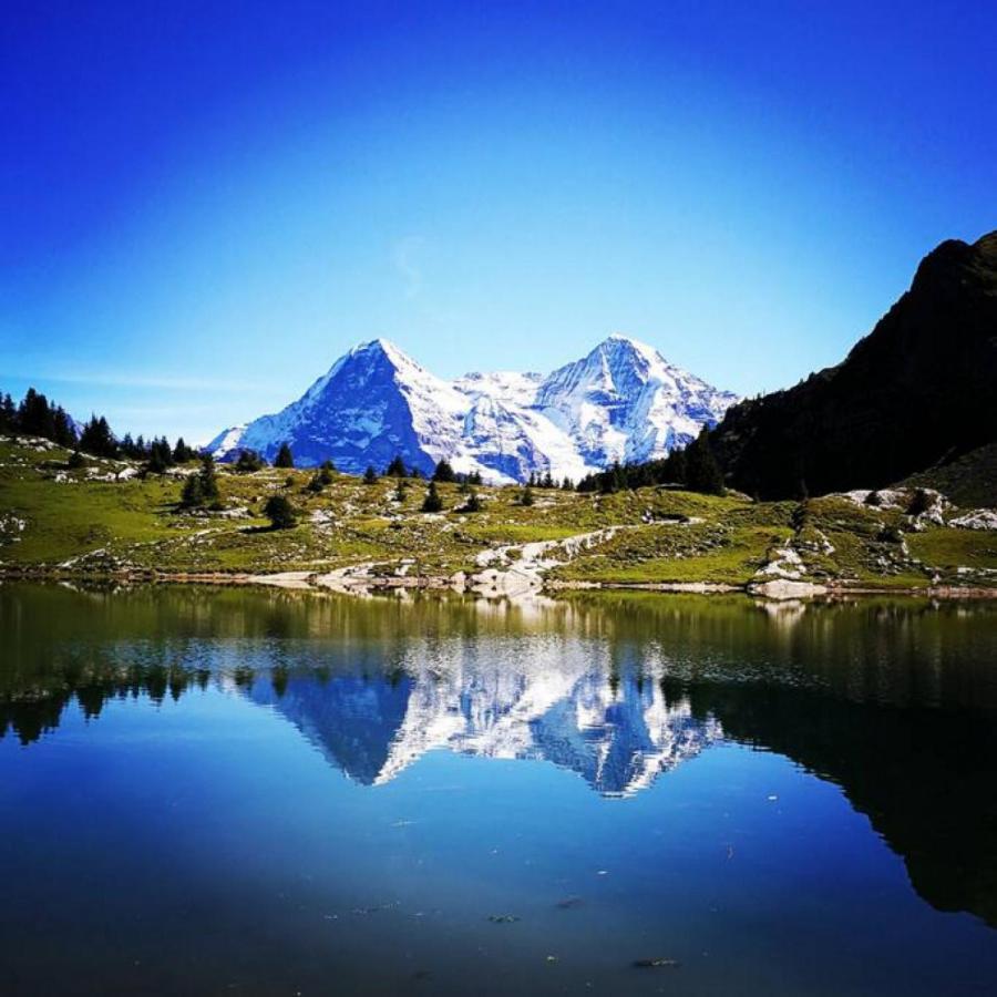 Swisshut Stunning Views Alps Lake - Chalet Erli Därligen 外观 照片