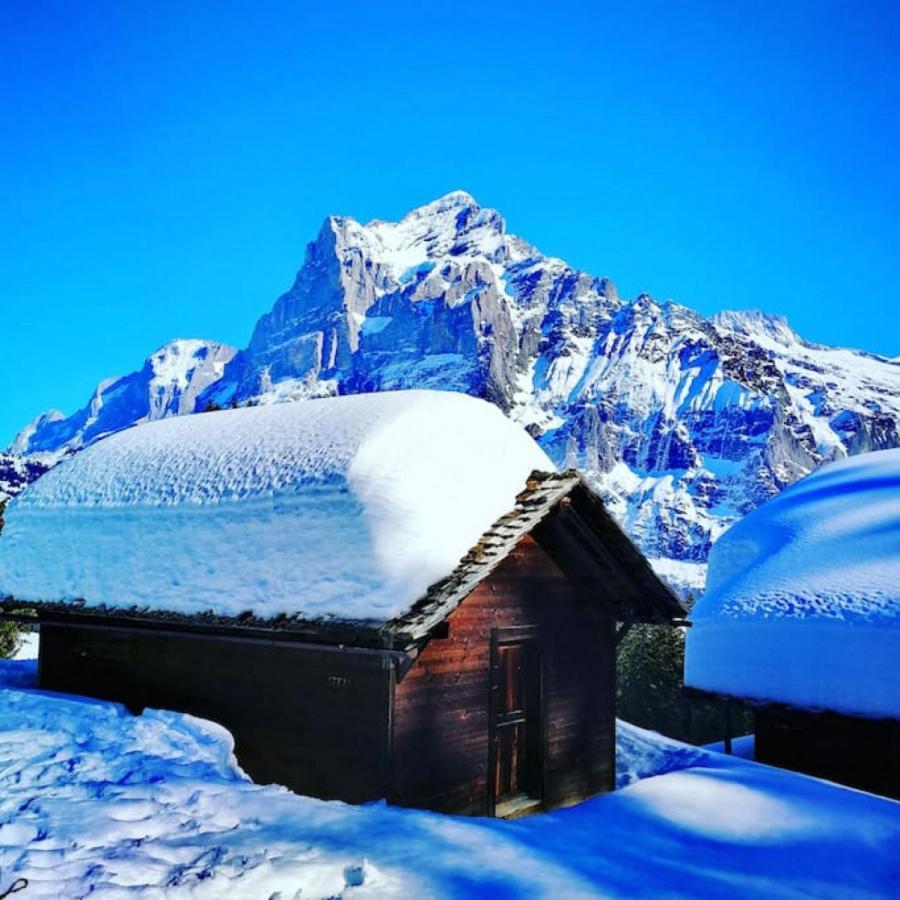 Swisshut Stunning Views Alps Lake - Chalet Erli Därligen 外观 照片