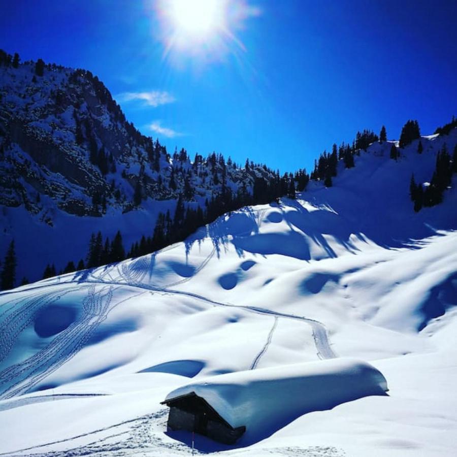 Swisshut Stunning Views Alps Lake - Chalet Erli Därligen 外观 照片