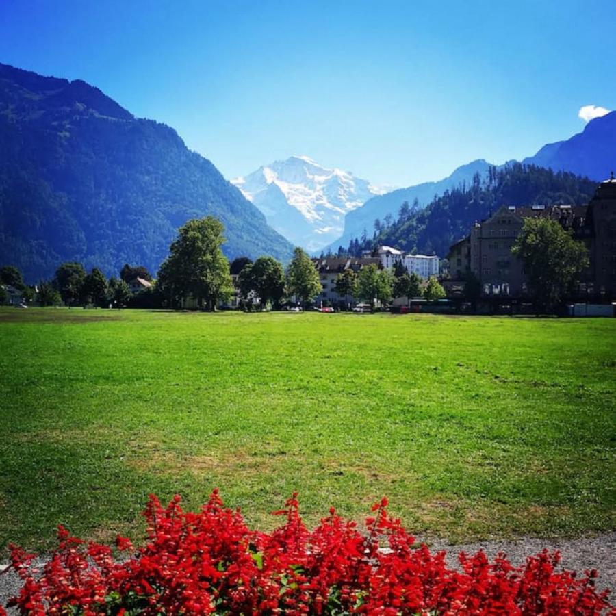Swisshut Stunning Views Alps Lake - Chalet Erli Därligen 外观 照片